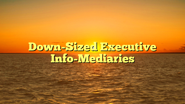 Down-Sized Executive Info-Mediaries