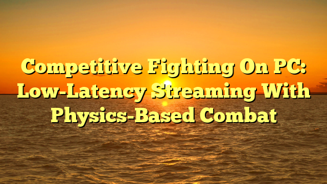 Competitive Fighting On PC: Low-Latency Streaming With Physics-Based Combat