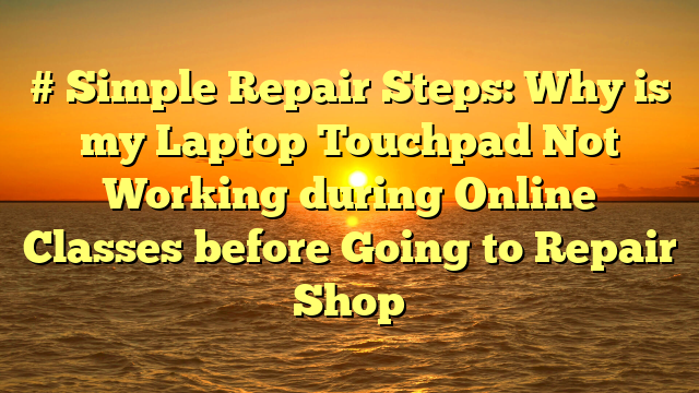 # Simple Repair Steps: Why is my Laptop Touchpad Not Working during Online Classes before Going to Repair Shop
